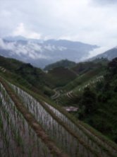 Long Ji Rice Terraces